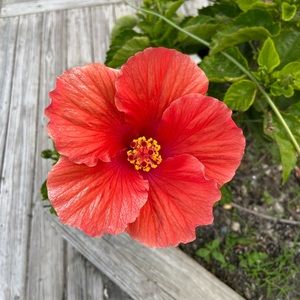 Meet your Posher, Kinda